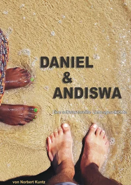 Norbert Kuntz Daniel & Andiswa обложка книги