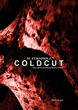 M. Fernholz COLDCUT обложка книги