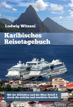 Ludwig Witzani Karibisches Reisetagebuch обложка книги