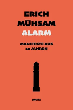 Erich Muhsam Alarm обложка книги