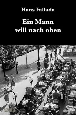 Hans Fallada Ein Mann will nach oben обложка книги