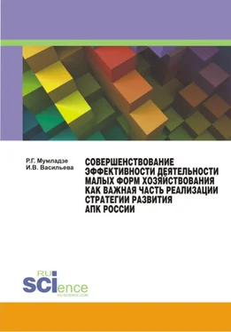 И. Васильева Совершенствование эффективности деятельности малых форм хозяйствования как важная часть реализации стратегии развития АПК России обложка книги