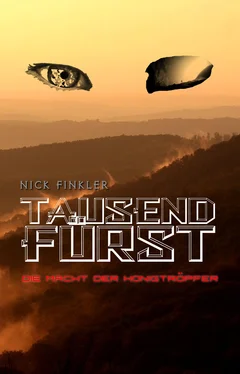 Nick Finkler Tausendfürst обложка книги