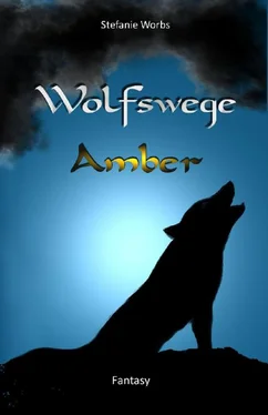 Stefanie Worbs Wolfswege 1 -Amber обложка книги