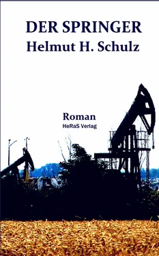 Helmut H. Schulz Der Springer обложка книги