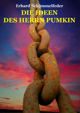 Erhard Schümmelfeder DIE IDEEN DES HERRN PUMKIN обложка книги