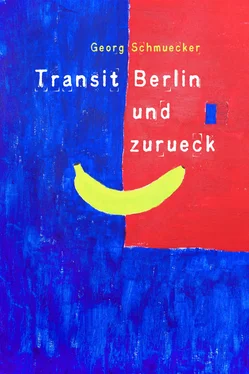 Georg Schmuecker Transit Berlin und zurück обложка книги