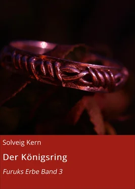 Solveig Kern Der Königsring обложка книги