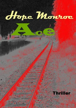 Hope Monroe Ace обложка книги