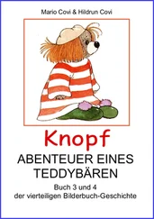 Mario Covi - KNOPF - ABENTEUER EINES TEDDY-BÄREN