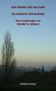 Helmut H. Schulz Der Fremde und das Dorf; Die Gesichte der Blinden обложка книги