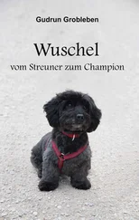 Gudrun Grobleben - Wuschel, vom Streuner zum Champion
