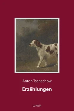 Anton Tschechow Erzählungen обложка книги