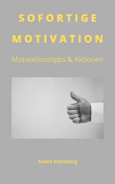 André Sternberg Sofortige Motivation обложка книги