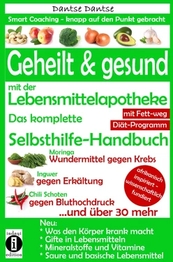 Dantse Dantse Geheilt & gesund mit der Lebensmittelapotheke: Fit, vital und jung ohne Medikamente обложка книги