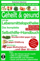 Dantse Dantse - Geheilt & gesund mit der Lebensmittelapotheke - Fit, vital und jung ohne Medikamente