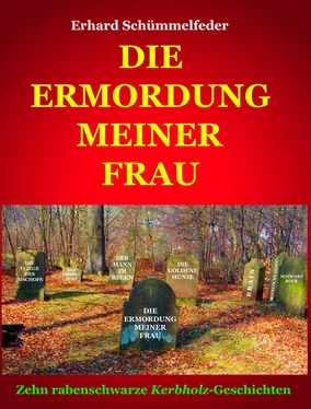 Erhard Schümmelfeder DIE ERMORDUNG MEINER FRAU обложка книги