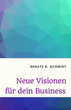 Renate R. Schmidt Neue Visionen für dein Business обложка книги