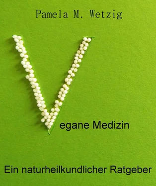 Pamela M. Wetzig Vegane Medizin обложка книги