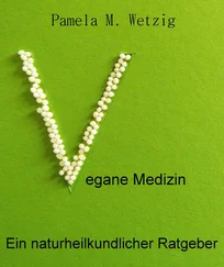 Pamela M. Wetzig - Vegane Medizin