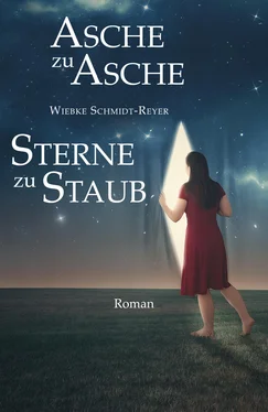 Wiebke Schmidt-Reyer Asche zu Asche, Sterne zu Staub обложка книги