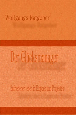 Wolfgangs Ratgeber Der Glücksmanager обложка книги