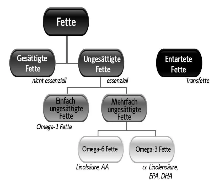 631 Gesättigte Fette auch nichtessenzielle Fette genannt Gesättigte Fette - фото 6