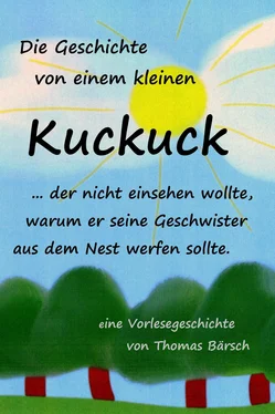 Thomas Barsch Die Geschichte von einem kleinen Kuckuck, der nicht einsehen wollte, warum er seine Geschwister aus dem Nest werfen sollte обложка книги