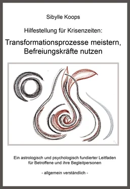 Sibylle Koops Hilfestellung für Krisenzeiten: Transformationsprozesse meistern, Befreiungskräfte nutzen обложка книги