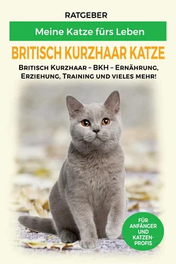 Meine Katze fürs Leben Ratgeber Britisch Kurzhaar Katze обложка книги