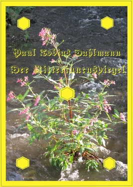 Paul Tobias Dahlmann Der Ritterinnenspiegel обложка книги