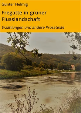 Günter Helmig Fregatte in grüner Flusslandschaft обложка книги
