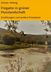 Günter Helmig - Fregatte in grüner Flusslandschaft