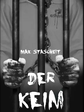 Max Stascheit Der Keim обложка книги