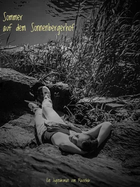 Thorsten Dürholt Sommer auf dem Sonnenbergerhof обложка книги