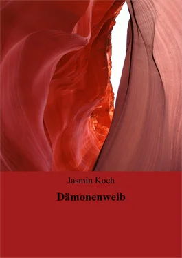 Jasmin Koch Dämonenweib обложка книги