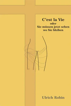 Ulrich Robin C'est la Vie обложка книги
