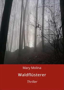 Mary Molina Waldflüsterer обложка книги