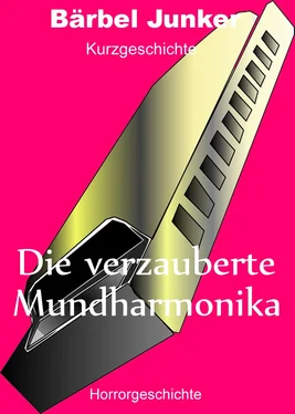 Bärbel Junker Die verzauberte Mundharmonika обложка книги