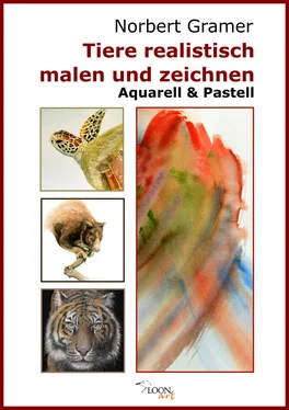 Norbert Gramer Tiere realistisch malen und zeichnen - Aquarell & Pastell обложка книги