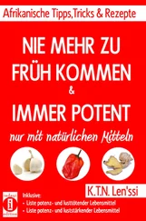 K.T.N. Len'ssi - NIE MEHR ZU FRÜH KOMMEN & IMMER POTENT – Afrikanische Tipps, Tricks & Rezepte nur mit natürlichen Mitteln