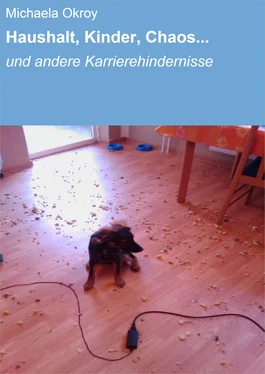 Michaela Okroy Haushalt, Kinder, Chaos... обложка книги
