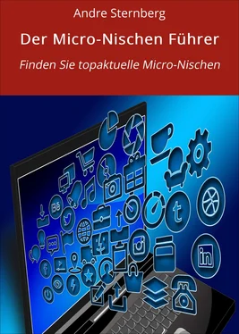 André Sternberg Der Micro-Nischen Führer обложка книги