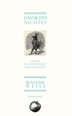 Susanne Weiss Das Nichts nichtet und die Follwerschaft der Influencer обложка книги