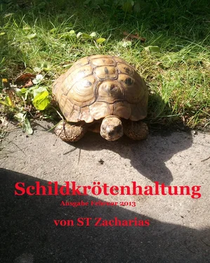 ST Zacharias Schildkrötenhaltung обложка книги