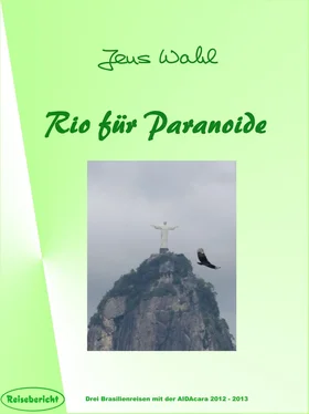 Jens Wahl Rio für Paranoide обложка книги