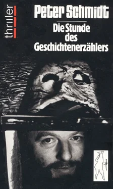 Peter Schmidt Die Stunde des Geschichtenerzählers обложка книги