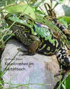 Gerhard Ebert Katastrophen im Gartenteich обложка книги