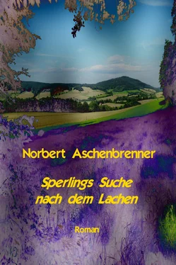 Norbert Aschenbrenner Sperlings Suche nach dem Lachen обложка книги