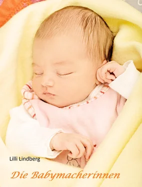 Lilli Lindberg Die Babymacherinnen обложка книги